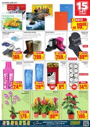 aktuální leták Penny Market 12.10.2012-18.10.2012