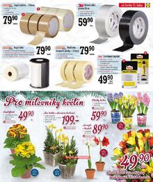 aktuální leták Lidl 12.1.2015-18.1.2015