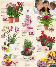 aktuální leták Lidl 4.5.2015-10.5.2015