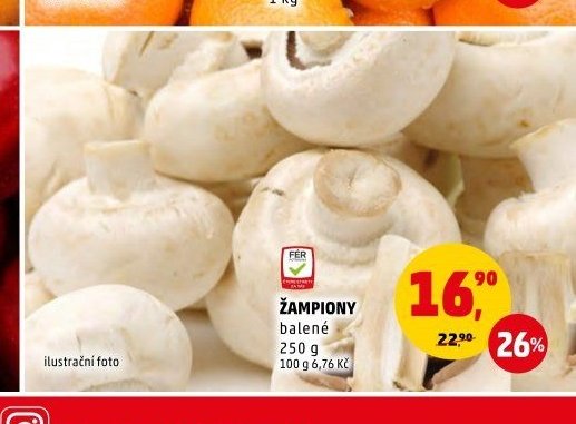 ŽAMPIONY balené