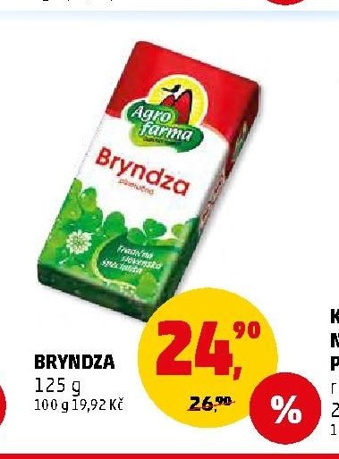 BRYNDZA