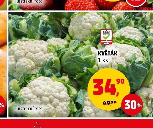 KVĚTÁK