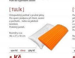 TULÍK