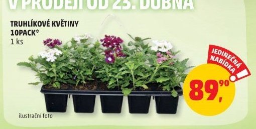 TRUHLÍKOVÉ KVĚTINY 10PACK*