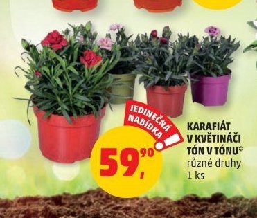 KARAFIÁT V KVĚTINÁČI TÓN V TÓNU*
