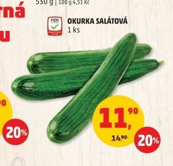 OKURKA SALÁTOVÁ
