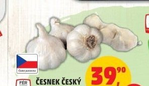 ČESNEK ČESKÝ