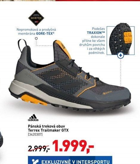 Pánská treková obuv Terrex Trailmaker GTX