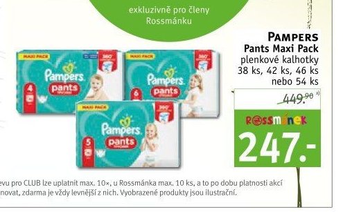 Pampers Pants Maxi Pack