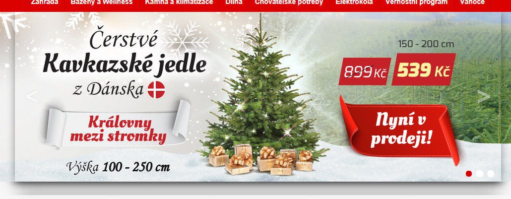 Kavkazské jedle