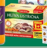 Terezia Hlíva ústřičná