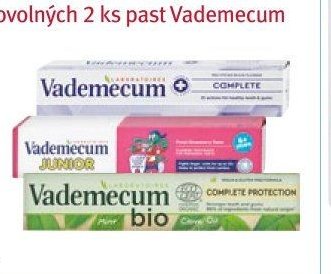 VADEMECUM zubní pasta
