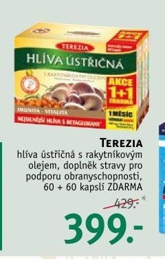 TEREZIA Hlíva ústřičná