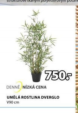 UMĚLÁ ROSTLINA DVERGLO