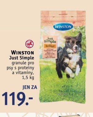 WINSTON Just Simple granule pro psy