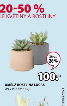 Umělá rostlina LUCAS