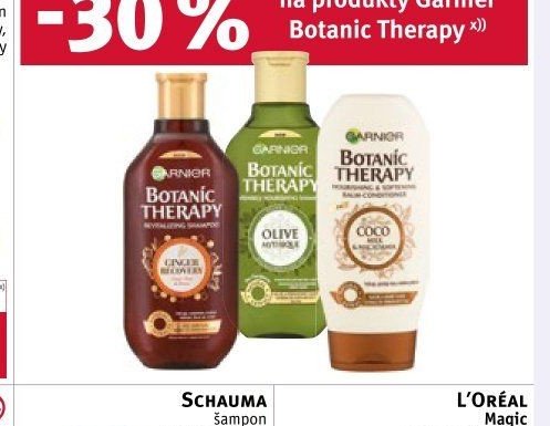 Garnier Botanic Therapy