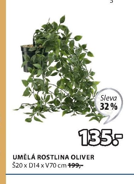 UMĚLÁ ROSTLINA OLIVER