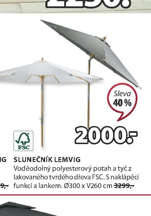 SLUNEČNÍK LEMVIG