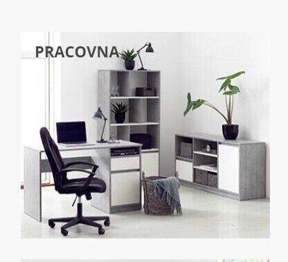 PRACOVNA