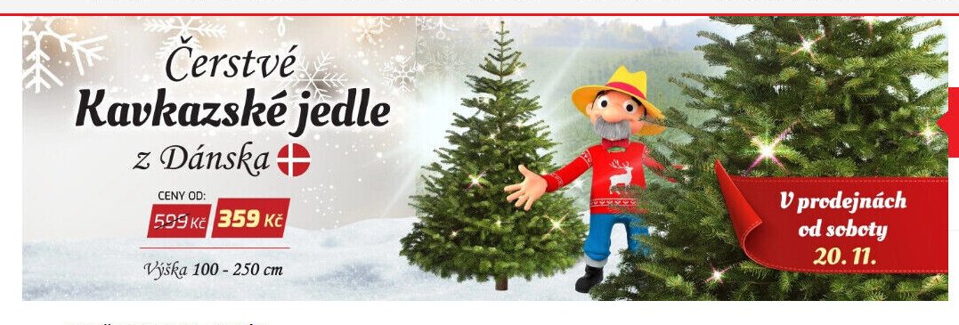 Čerstvé kavkazské jedle