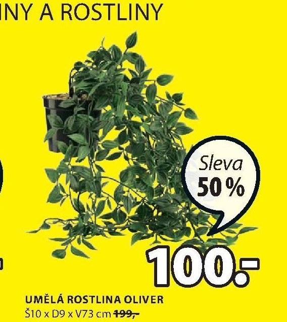 UMĚLÁ ROSTLINA OLIVER