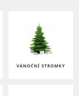 Vánoční stromky