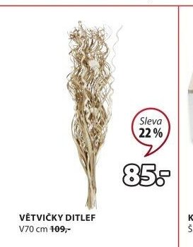 VĚTVIČKY DITLEF