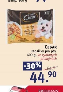 CESAR kapsičky pro psy
