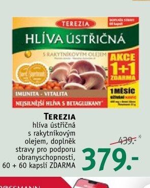 TEREZIA Hlíva ústřičná