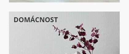 Domácnost