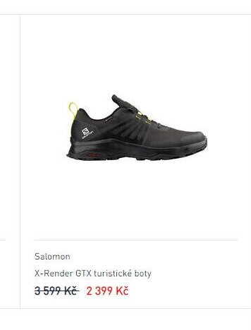 Salomon X-Render GTX turistické boty