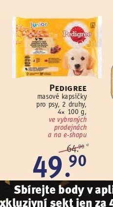 PEDIGREE masové kapsičky