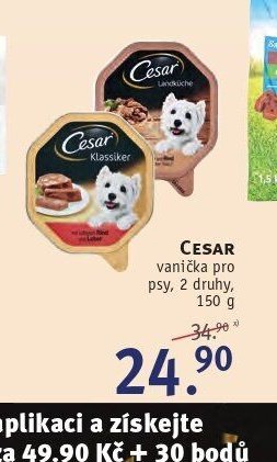 CESAR vanička pro psy