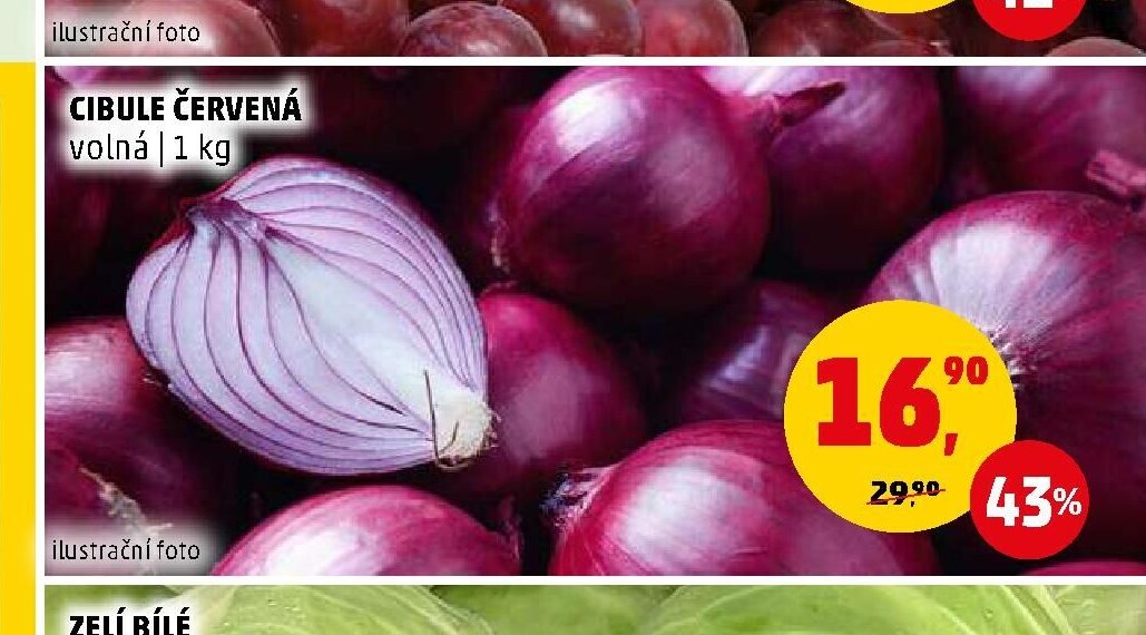 Cibule červená