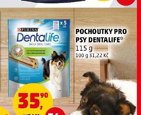 POCHOUTKY PRO PSY DENTALIFE