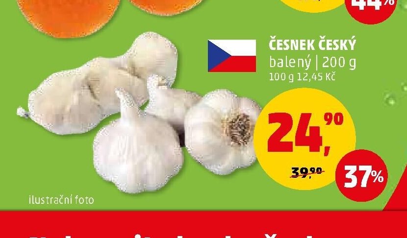 Česnek český