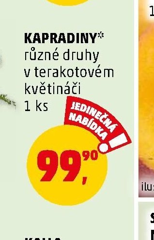 Kapradiny