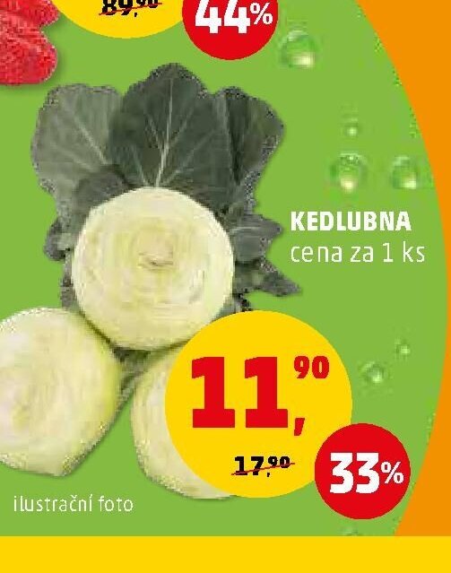 KEDLUBA