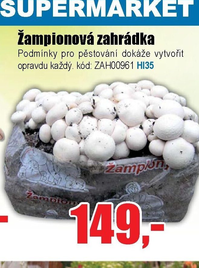 Žampionová zahrádka