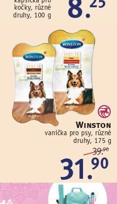 WINSTON vanička pro psy