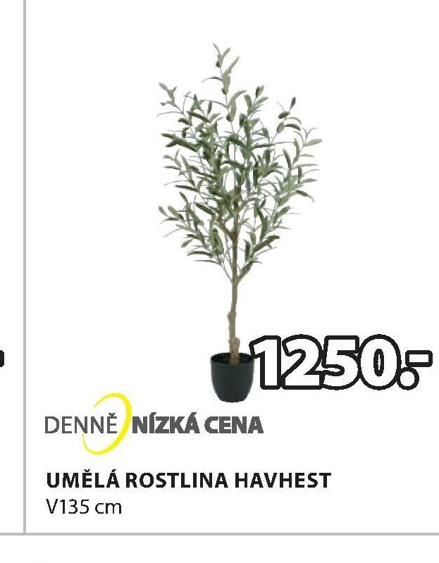 UMĚLÁ ROSTLINA HAVHEST