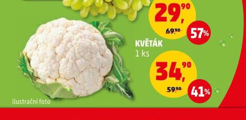 KVĚTÁK