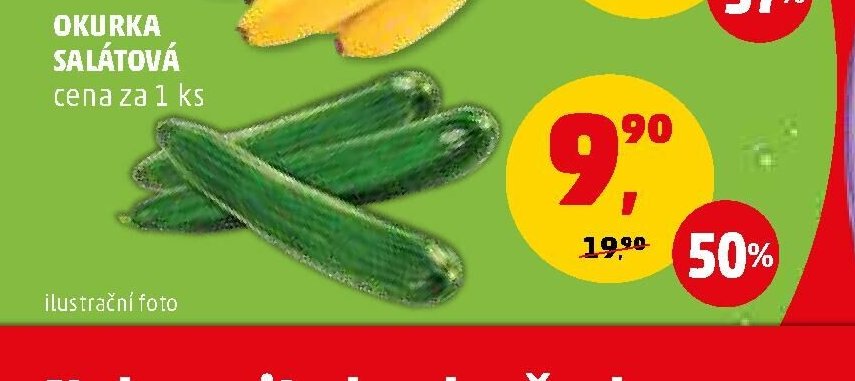Okurka salátová 1 ks