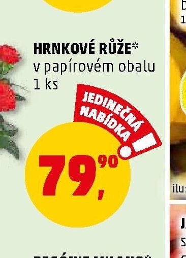 HRNKOVÉ RŮŽE