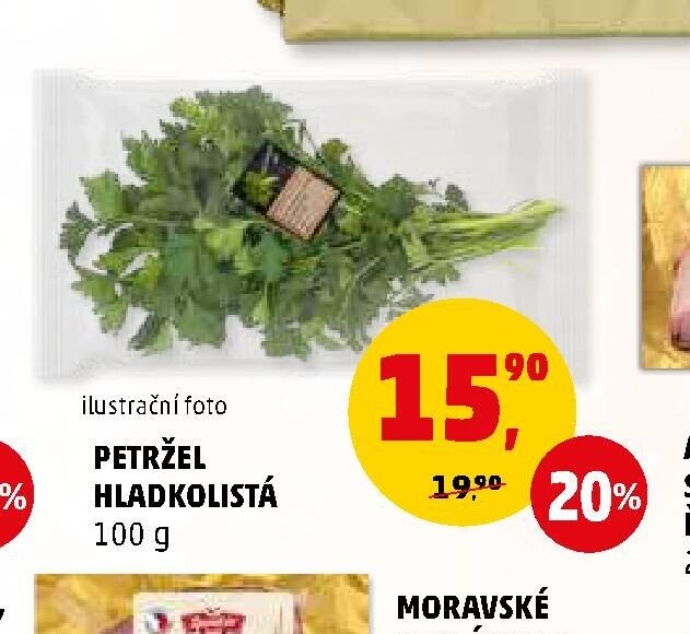 PETRŽEL HLADKOLISTÁ