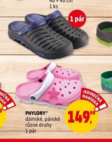 Phylony