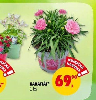 KARAFIÁT*