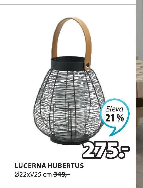 LUCERNA HUBERTUS