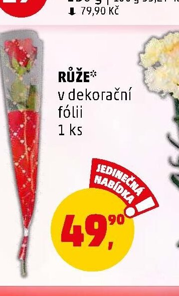 RŮŽE v dekorační fólii